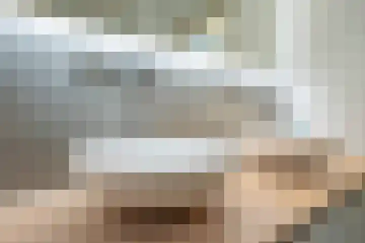 Sterre der Zeeplein 4 Papenhoven thumbnail 41