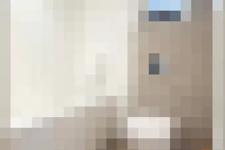 Sterre der Zeeplein 4 Papenhoven thumbnail 42