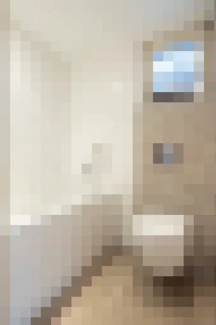 Sterre der Zeeplein 4 Papenhoven thumbnail 44