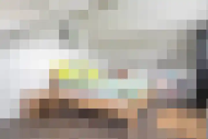 Sterre der Zeeplein 4 Papenhoven thumbnail 45