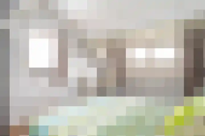 Sterre der Zeeplein 4 Papenhoven thumbnail 46