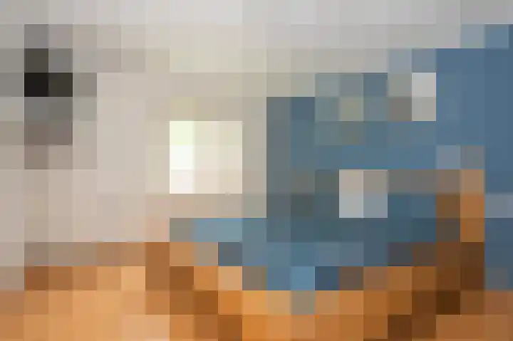 Sterre der Zeeplein 4 Papenhoven thumbnail 47