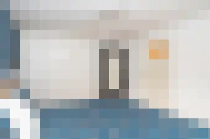 Sterre der Zeeplein 4 Papenhoven thumbnail 49