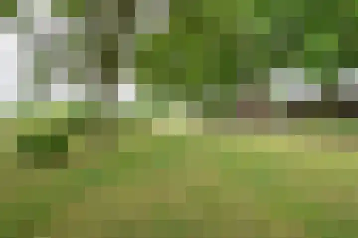 Sterre der Zeeplein 4 Papenhoven thumbnail 55