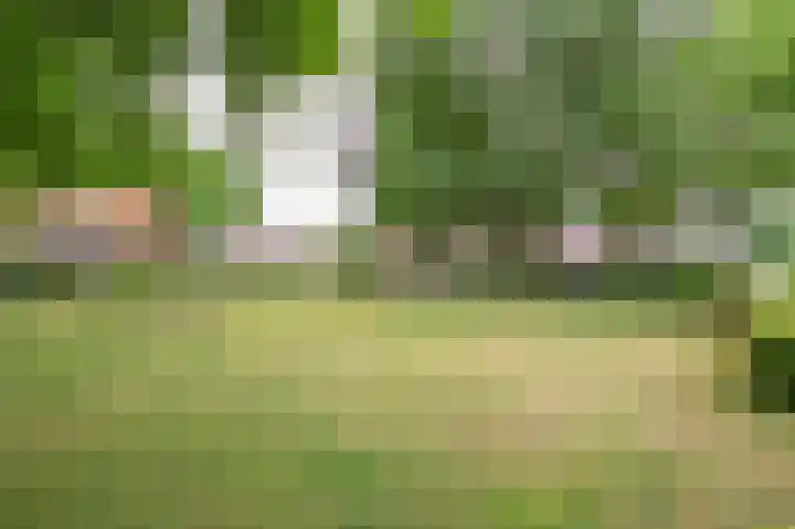 Sterre der Zeeplein 4 Papenhoven thumbnail 56