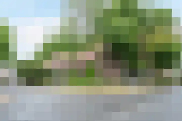 Sterre der Zeeplein 4 Papenhoven thumbnail 57