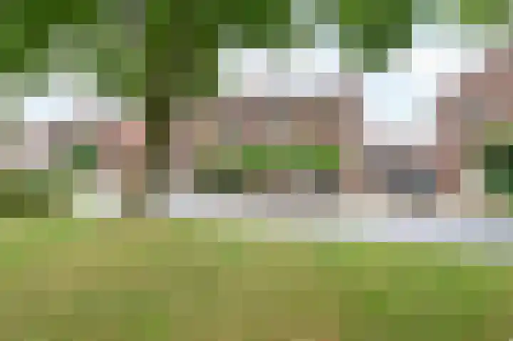 Sterre der Zeeplein 4 Papenhoven thumbnail 6