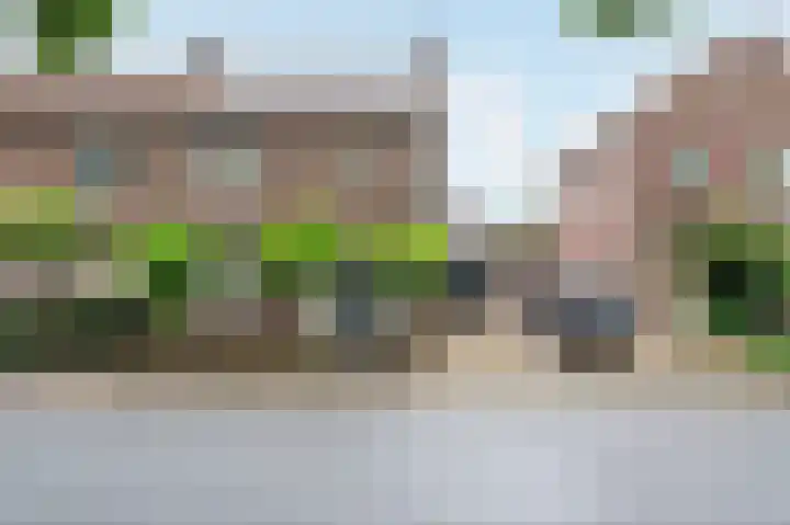 Sterre der Zeeplein 4 Papenhoven thumbnail 7