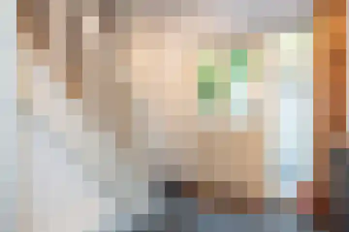 Sterre der Zeeplein 4 Papenhoven thumbnail 8