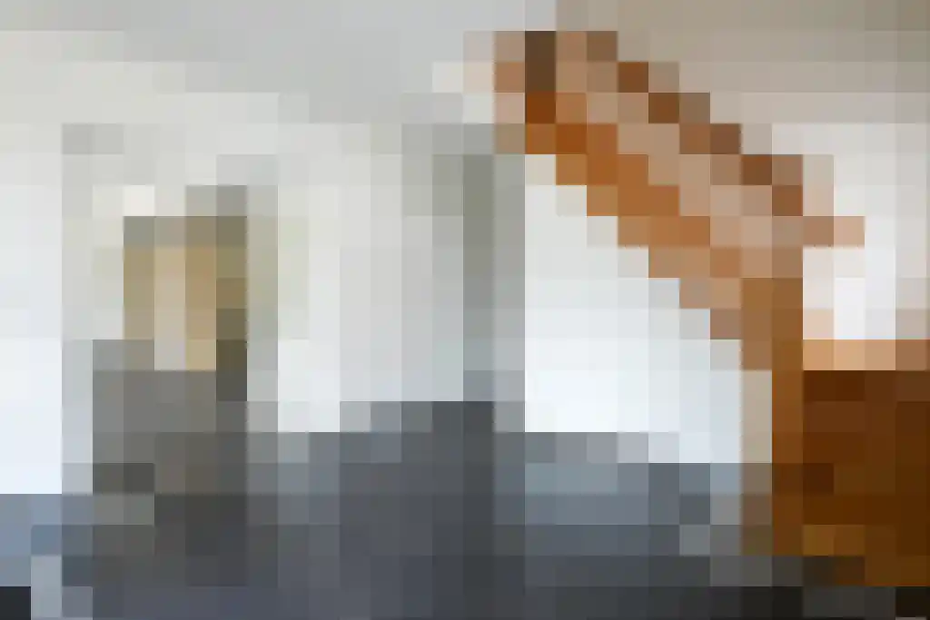 Sterre der Zeestraat 2 Margraten thumbnail 5