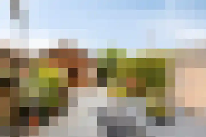 Sterre der Zeestraat 6 Maastricht thumbnail 22