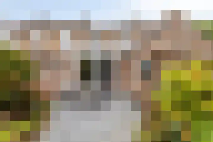 Sterre der Zeestraat 6 Maastricht thumbnail 28
