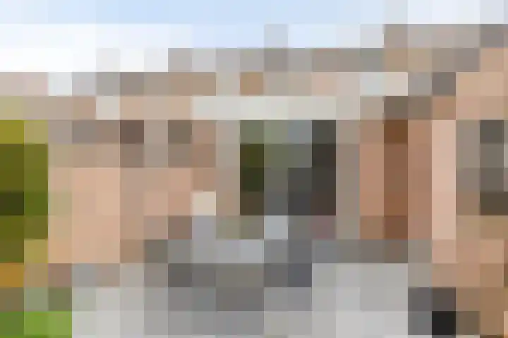 Sterre der Zeestraat 6 Maastricht thumbnail 29