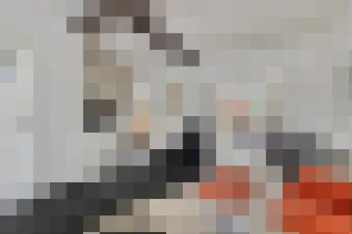 Sterre der Zeestraat 6 Maastricht thumbnail 6