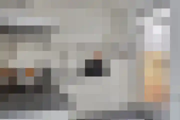 Sterre der Zeestraat 6 Maastricht thumbnail 7