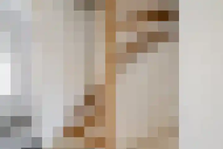 Sterrebaan 10 Klazienaveen thumbnail 24