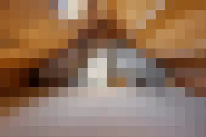 Sterrebaan 10 Klazienaveen thumbnail 25