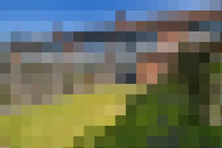 Sterrebaan 10 Klazienaveen thumbnail 26