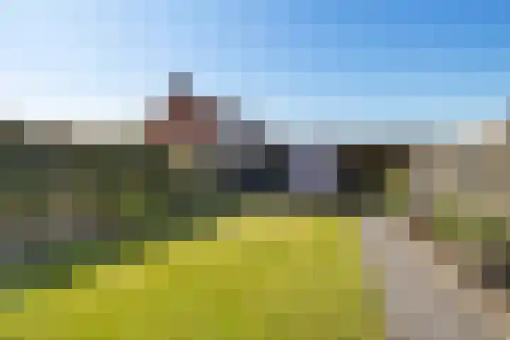 Sterrebaan 10 Klazienaveen thumbnail 29