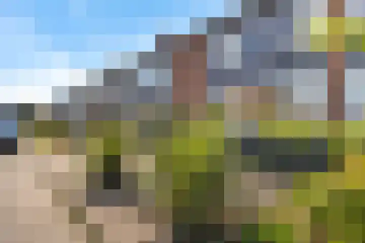 Sterrebaan 10 Klazienaveen thumbnail 33