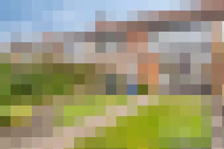 Sterrebaan 12 Klazienaveen thumbnail 10