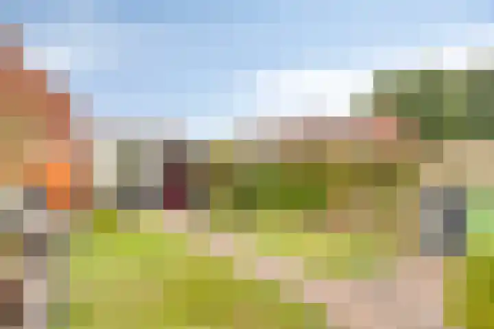 Sterrebaan 12 Klazienaveen thumbnail 11