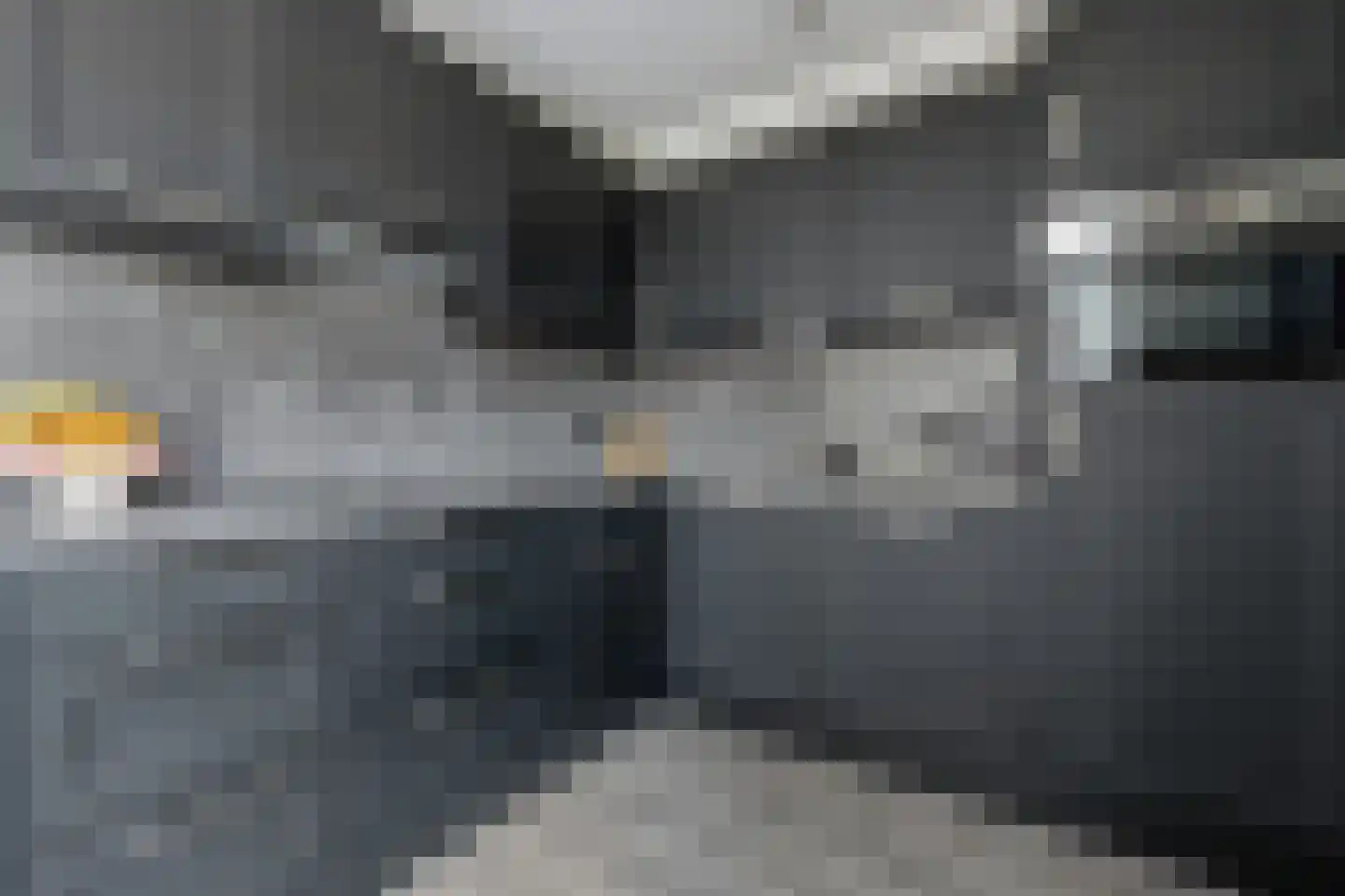 Sterrebaan 3 Klazienaveen thumbnail 12