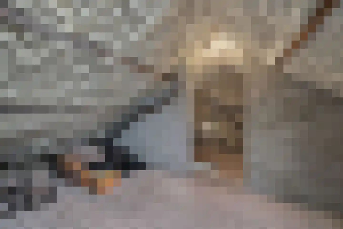 Sterrebaan 3 Klazienaveen thumbnail 27