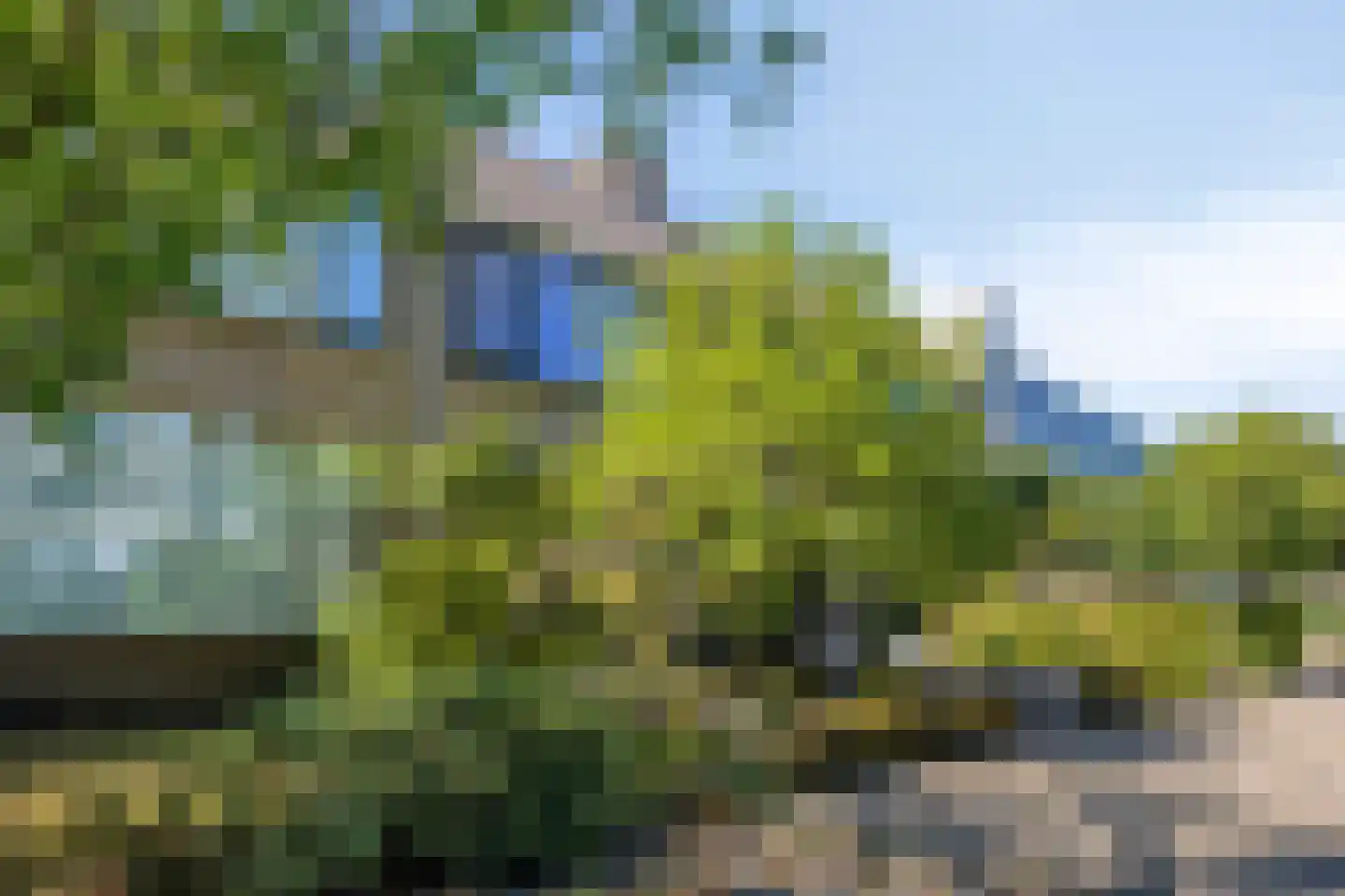 Sterrebos 12 Breda thumbnail 10
