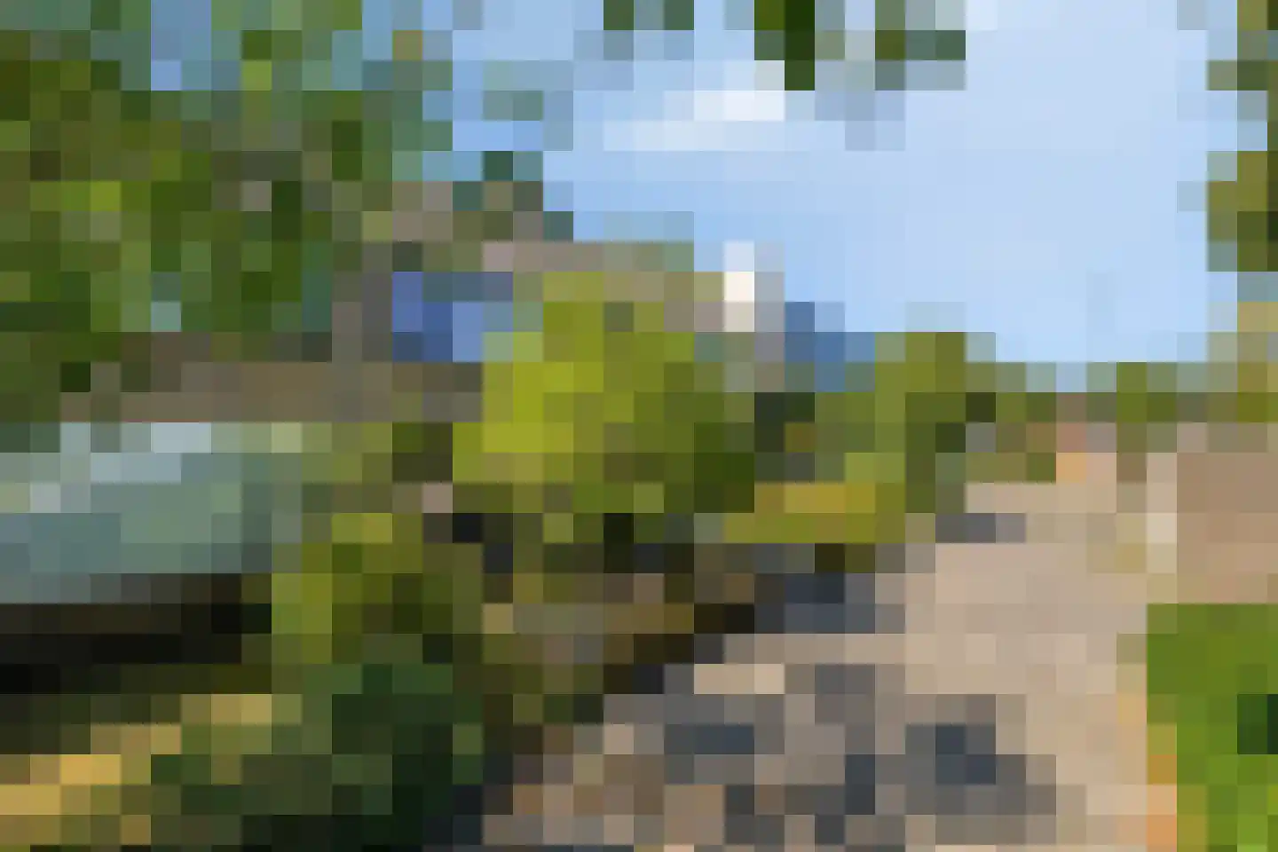 Sterrebos 12 Breda thumbnail 12