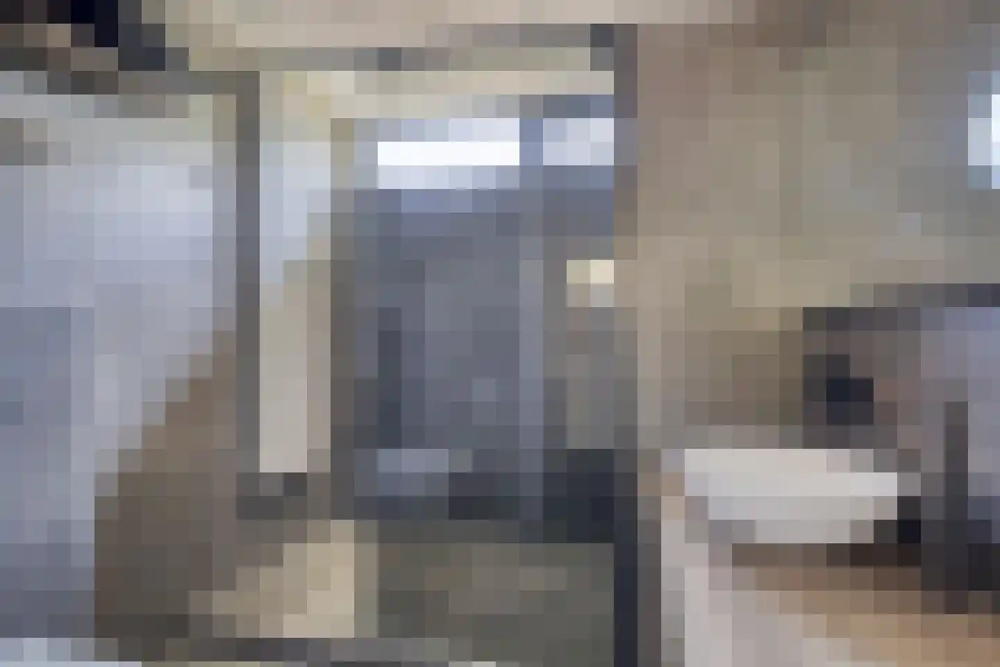 Sterrebos 12 Breda thumbnail 38