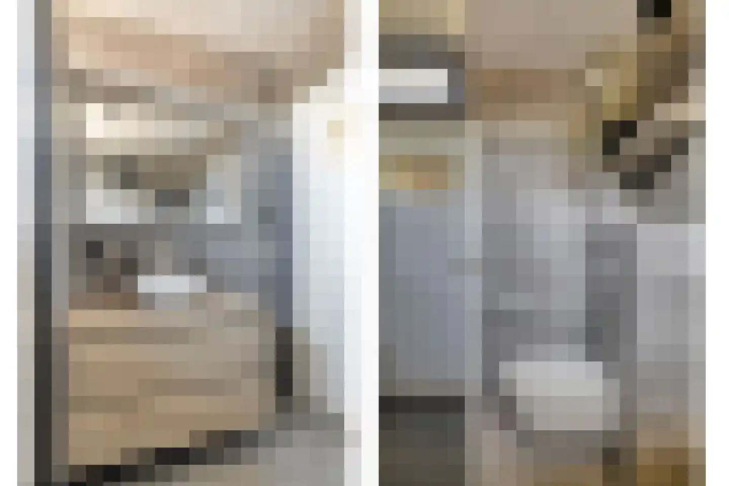 Sterrebos 12 Breda thumbnail 39