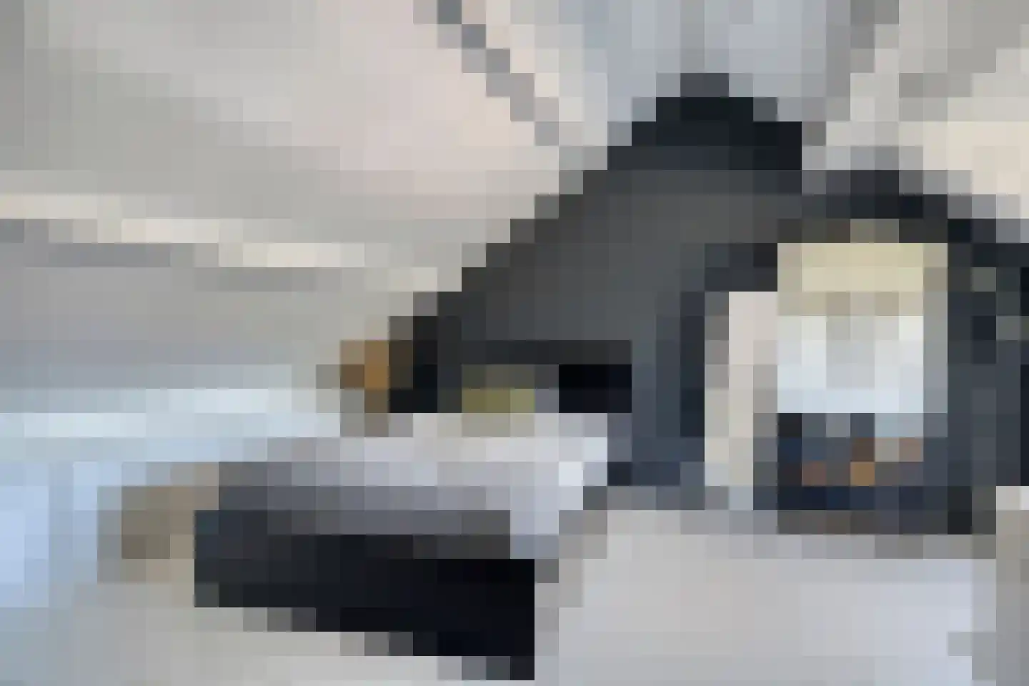 Sterrebos 12 Breda thumbnail 42