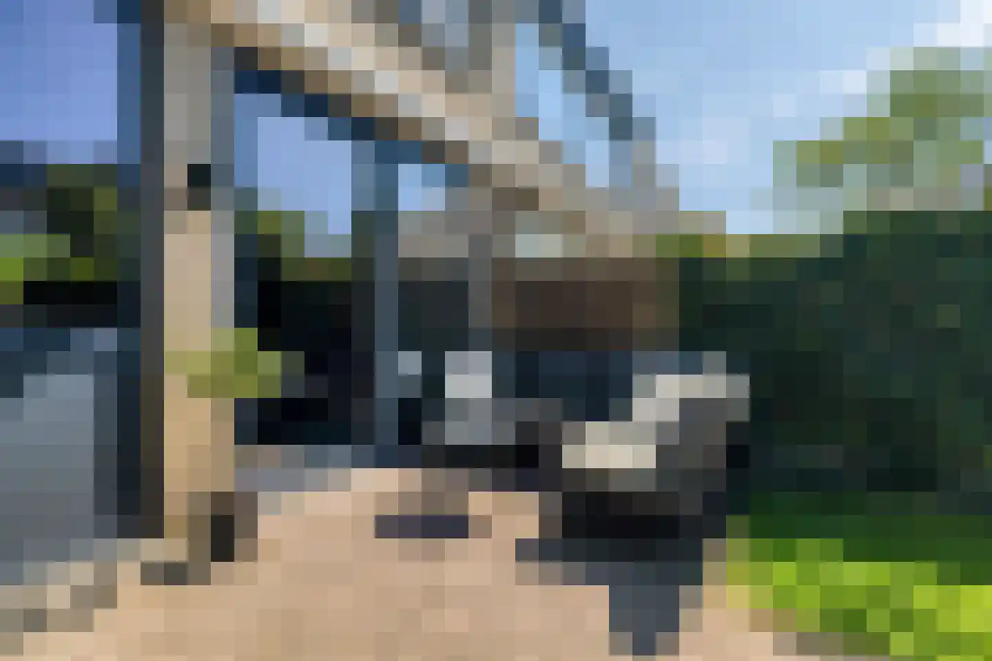 Sterrebos 12 Breda thumbnail 50