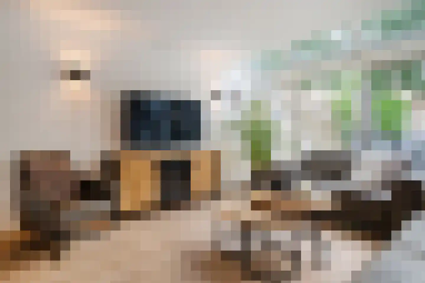 Sterrebos 13 Almelo thumbnail 12