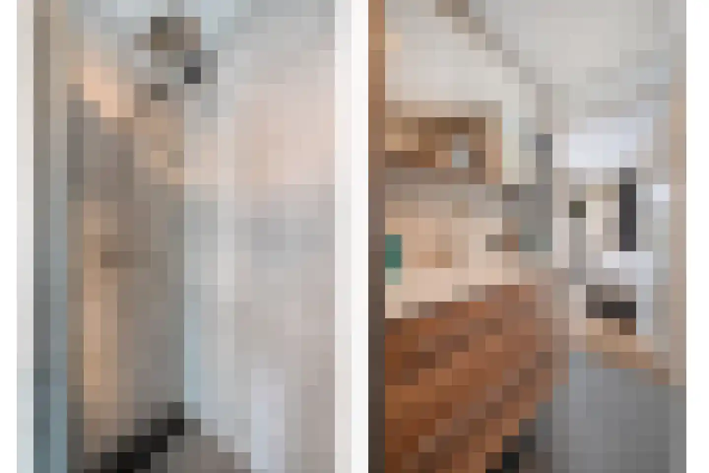 Sterrebos 13 Almelo thumbnail 20