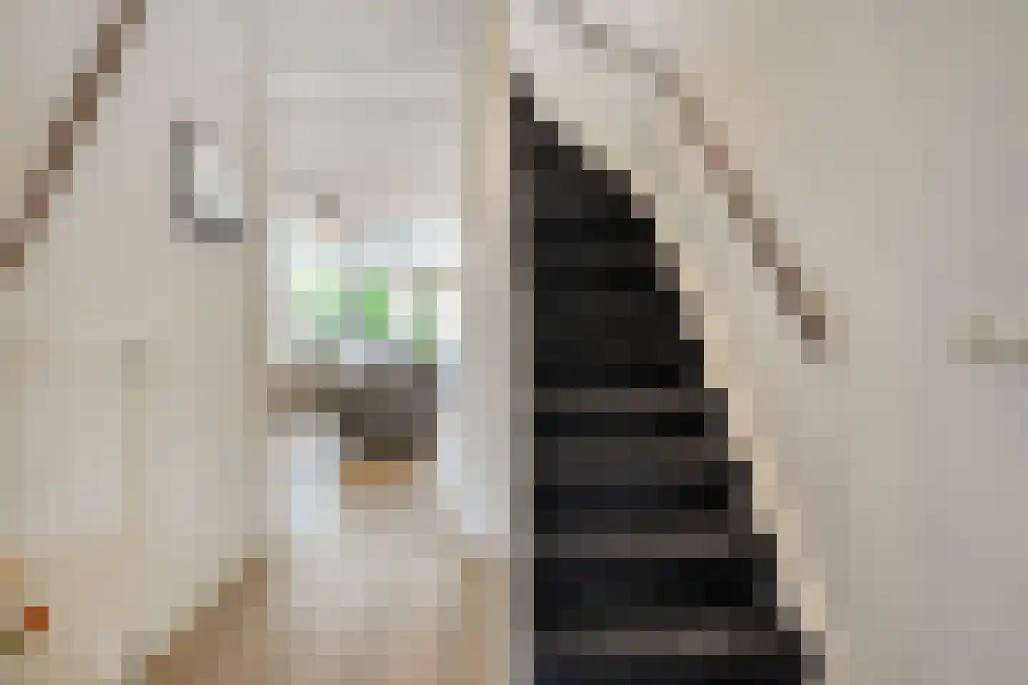 Sterrebos 13 Almelo thumbnail 23