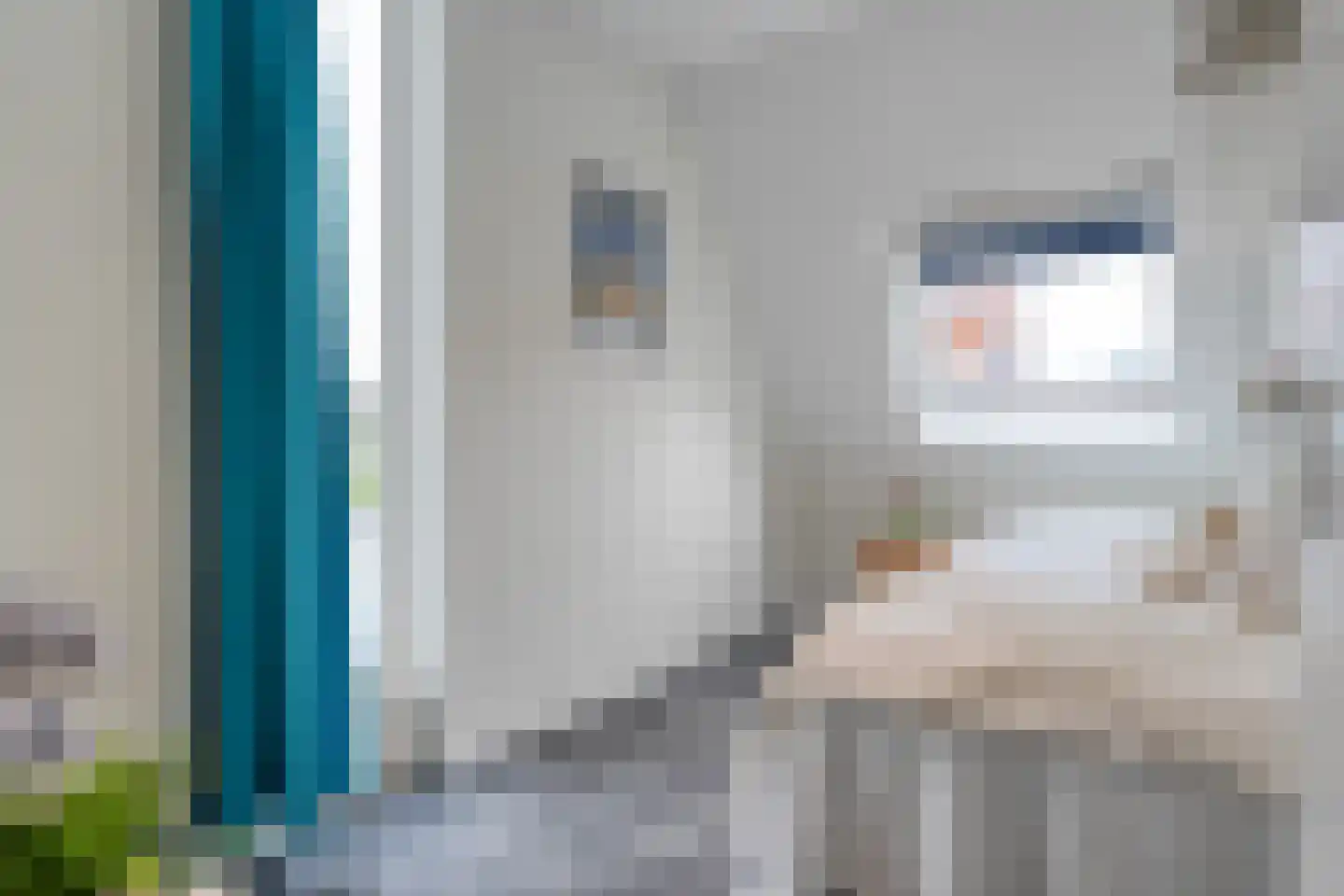 Sterrebos 13 Almelo thumbnail 25