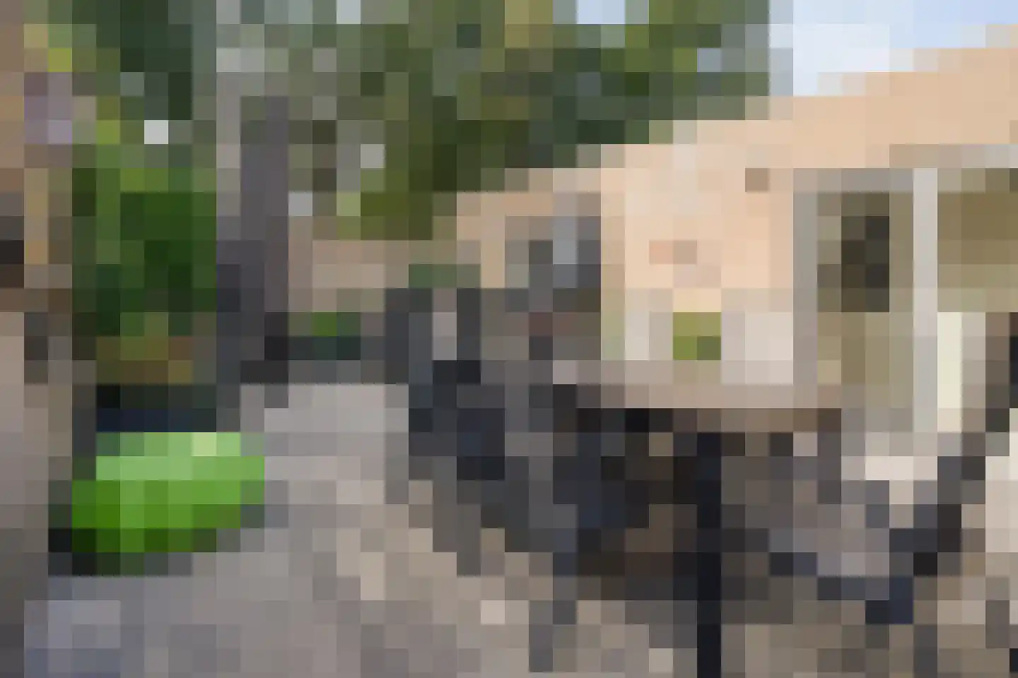 Sterrebos 13 Almelo thumbnail 30