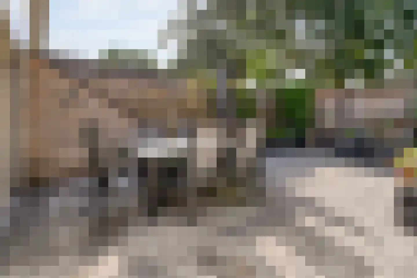 Sterrebos 13 Almelo thumbnail 33
