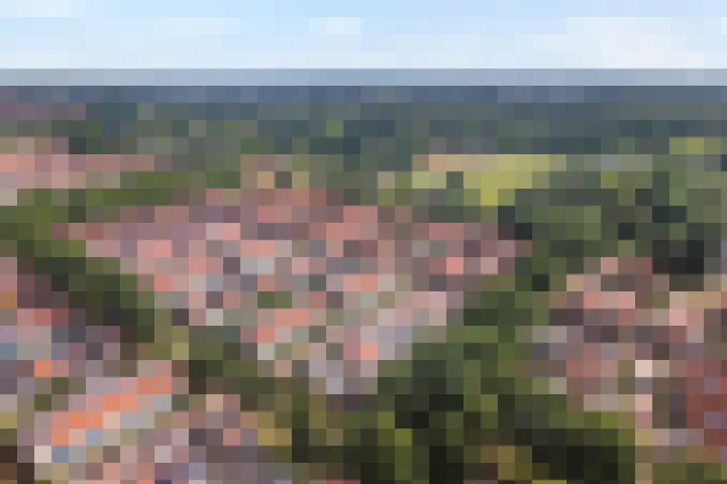 Sterrebos 13 Almelo thumbnail 37