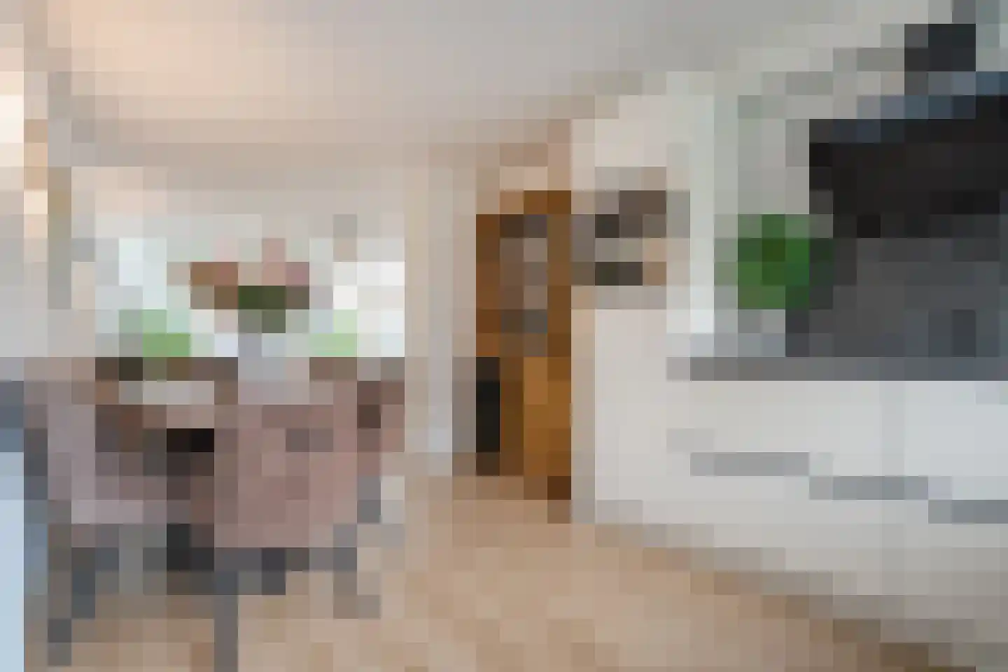 Sterrebos 13 Almelo thumbnail 7