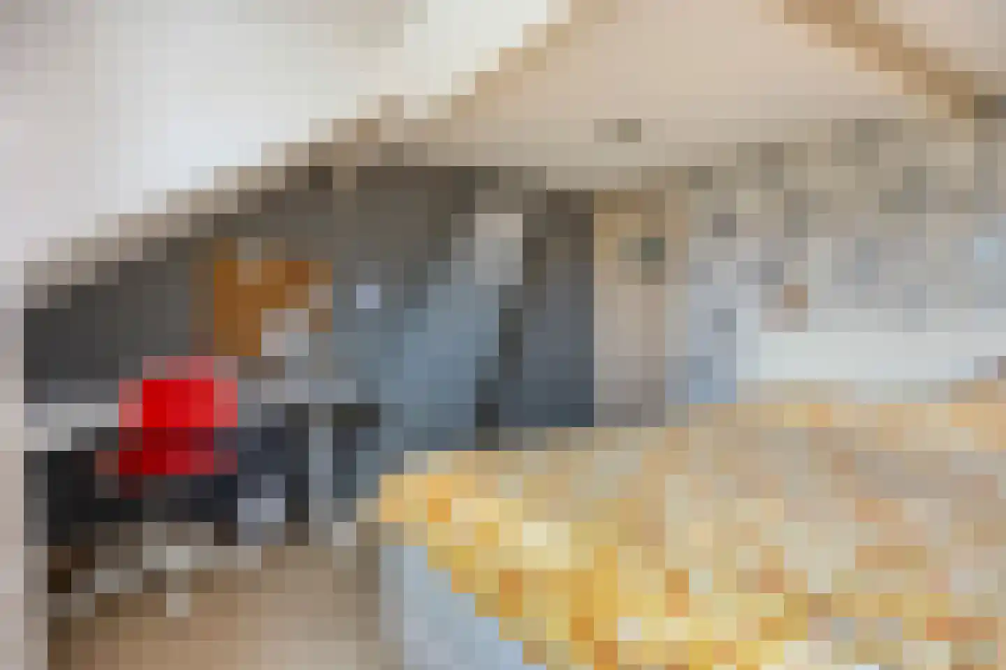 Sterrebos 15 Tiel thumbnail 11