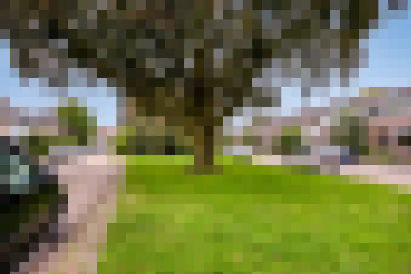 Sterrebos 15 Tiel thumbnail 19