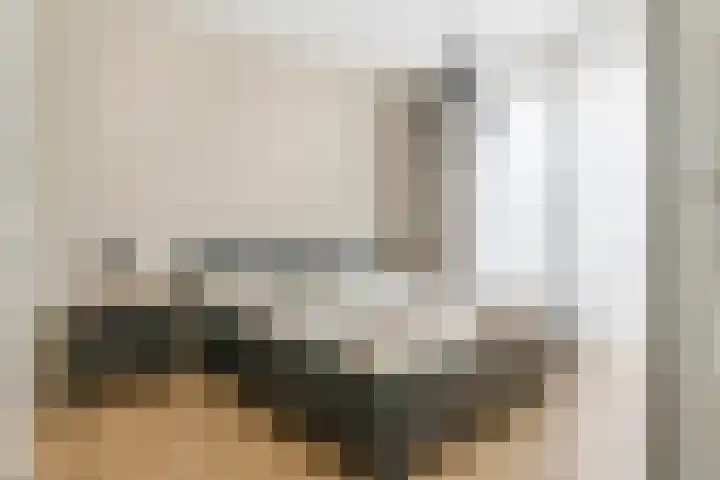 Sterrebos 21 Meteren thumbnail 15