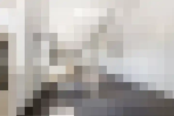Sterrebos 21 Meteren thumbnail 22
