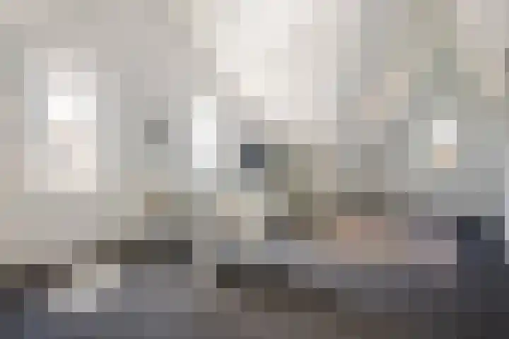 Sterrebos 21 Meteren thumbnail 23
