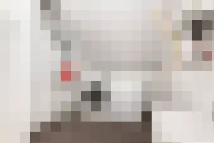 Sterrebos 21 Meteren thumbnail 27