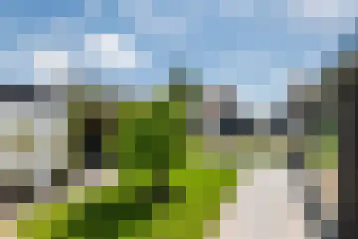 Sterrebos 21 Meteren thumbnail 28