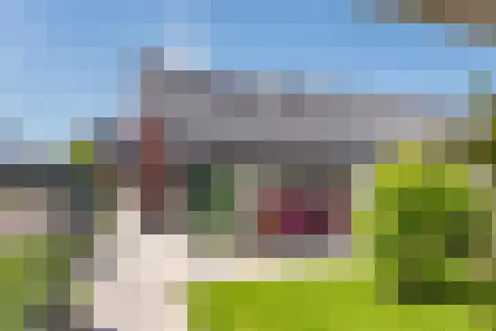Sterrebos 21 Meteren thumbnail 29